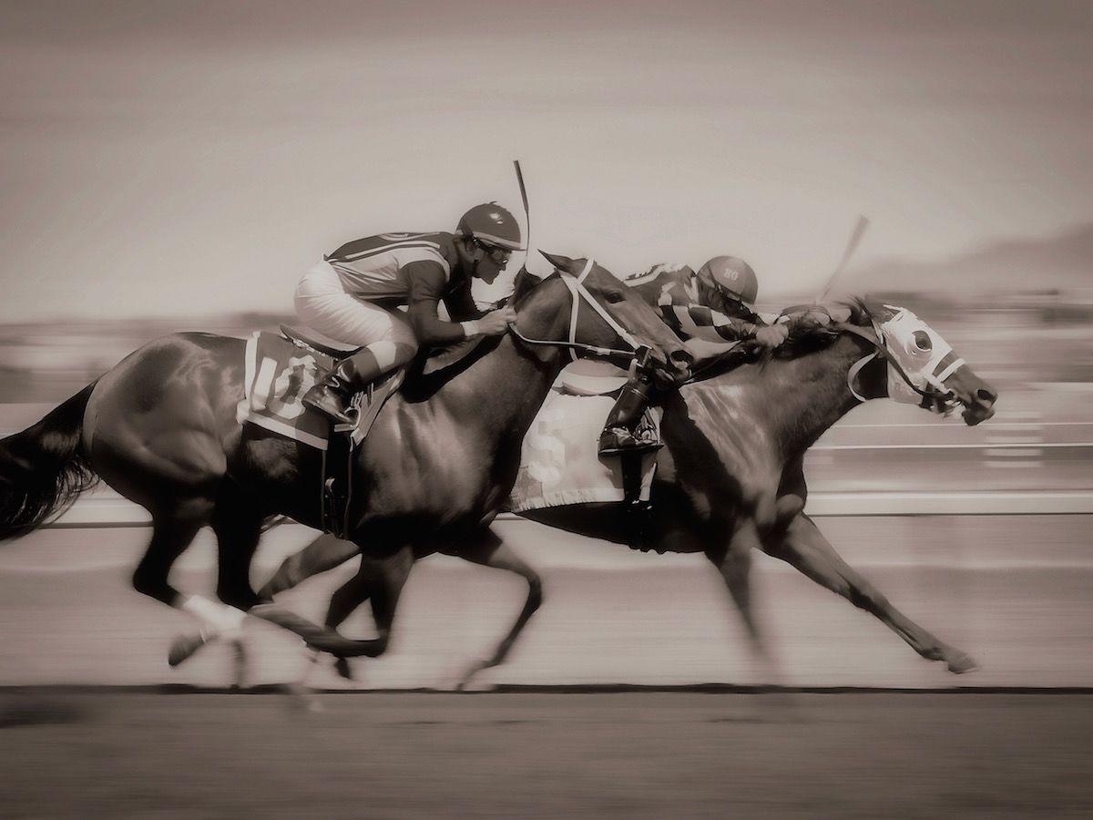 The Plaza Hotel Pioneer Park El Paso Ngoại thất bức ảnh Thoroughbred horses racing